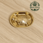 Brass Vastu Tortoise with Plate – Handcrafted Feng Shui Tortoise for Wealth, Stability & Vastu