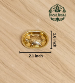 Brass Vastu Tortoise with Plate – Handcrafted Feng Shui Tortoise for Wealth, Stability & Vastu